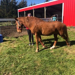 Meet your Posher, Christine